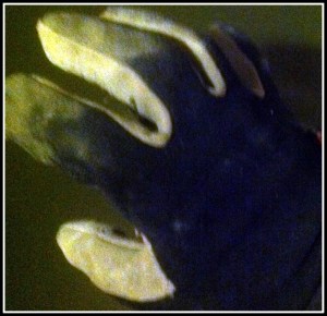 glove2