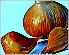 garlic