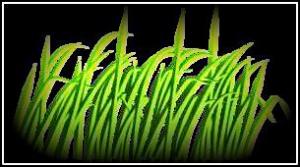 green-grass-blade2