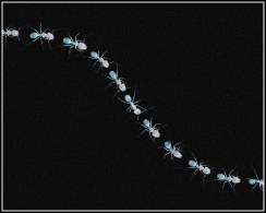 Marching ants