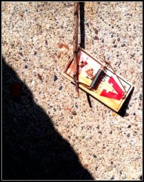 mousetrap2